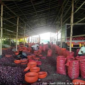 Red Onions, Packaging Size : 5Kg, 10Kg, 25Kg, 50Kg Loose