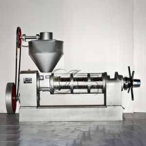 Screw Oil Press Machine