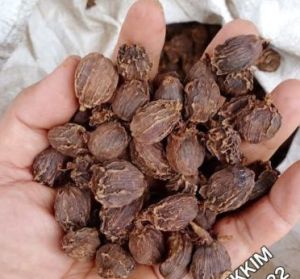 Black Cardamom, Brand Name : Spice