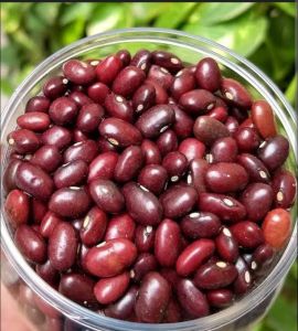 Rajma