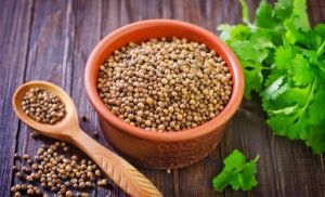 coriander seeds