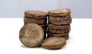 Dried Cow Dung Cakes
