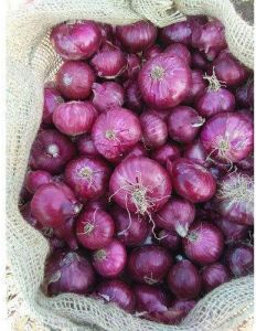 A Grade Red Onion