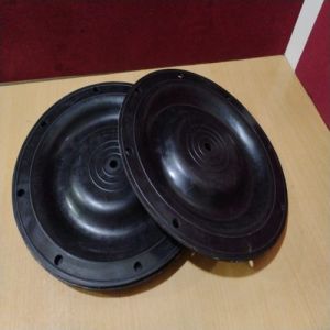 Valve Diaphragms