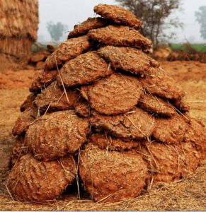 Round Cow Dung Cake, Color : Brown, Packaging Type : Plastic Bag