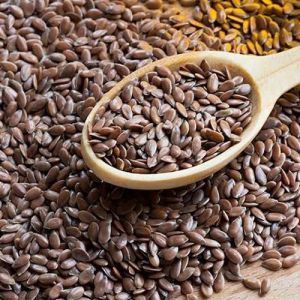 Flax Seeds