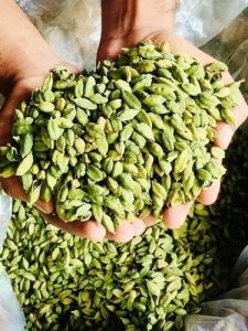 Organic Green Cardamom, Packaging Size : 1Kg, 10Kg