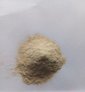 Banana, Color : White Cream, Packaging Type : Plastic Bag