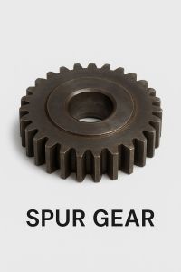 spur gear