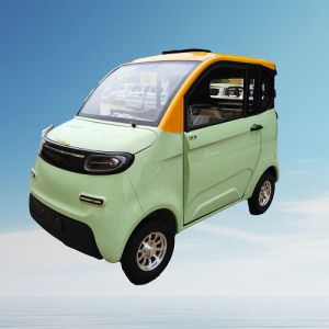 1000w Four Seats Electric Mini Car