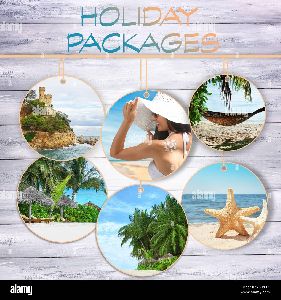 Domestic Tour Operators