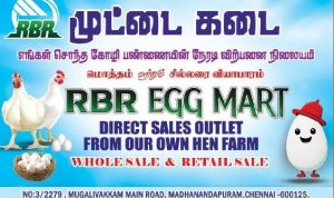 Fresh Egg, Color : white, Packaging Type : Tray