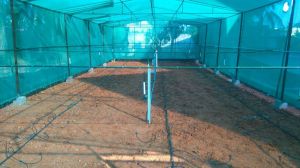 Green Shade Net Installation Service