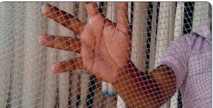 Rat Protection Net Installation Service