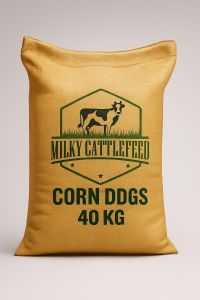 Milky Corn DDGS Cattle Feed for Milking Cow