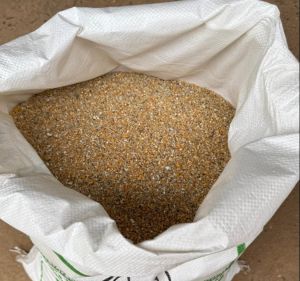 Milky Layer Mash Feed