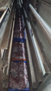 Halal Frozen Whole Chicken, Certification : ISO-9001: 2008 for cooking