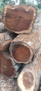 Plain Rosewood, Color : Brown for Making Furniture