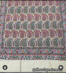 Printed Embroidered Pashmina Shawls, Color : Multicolor Fancy