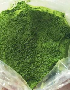 Moringa Oleifera Powder