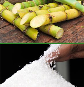 ICUMSA 45 Refined Sugar, Color : White