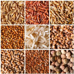 25 Kg Premium Wheat Grains