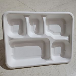 Sugarcane Bagasse Compartment Square Plates &AMP;AMP; Trays
