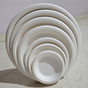 Sugarcane Bagasse Plain Round Plate