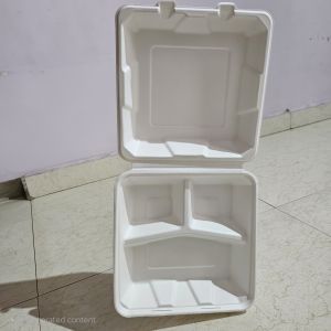 Sugarcane Bagasse Takeaway Clamshell Box