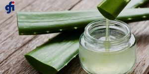 Semi Automatic Electric Aloe Vera Processing Machine, Power : 9-12kw