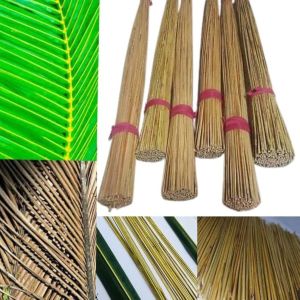 Coconut Tree Leaf Broom Stick for Cleaning Floors Surfaces