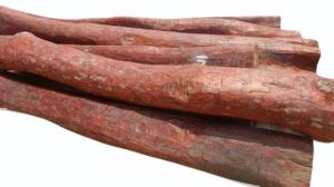 Red Sandalwood Logs