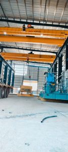 Heavy Duty EOT Cranes
