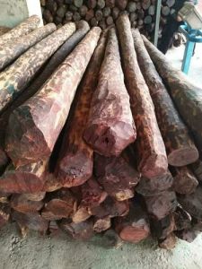 Sandwood A Grade Round Red Sandal Wood, Color : White, Form : Logs