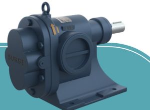 Rotary Gear Pumps (Seg Series)