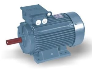 Thresher Electric Motor