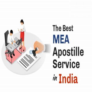 Legal Drafting & Litigation Services