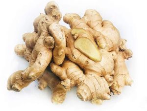 Fresh Ginger for Cooking