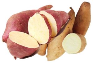 Fresh Sweet Potato
