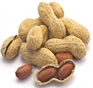 Peanut, Packaging Type : Bulk, Packets