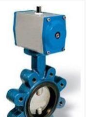 Butterfly Valves
