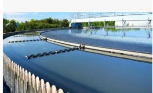 Cation Exchange Resin Water Softener