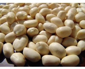 Plain Peanut, Packaging Type : Plastic Bag