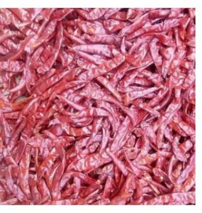 Best Quality Teja Red Chillies