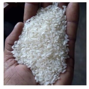 Swarna Mansoori Rice ( White / Raw )