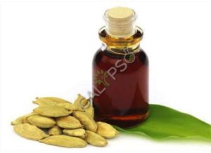 Cardamom Extra Absolute Oil