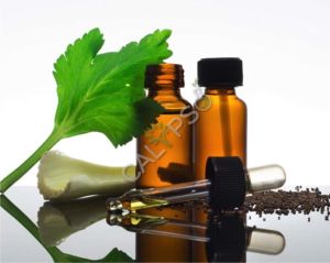 Celery Oil, Packaging Size : 50ml, 100ml for Aromatherapy
