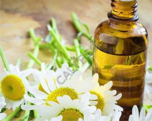 Chamomile Oil for Aromatherapy
