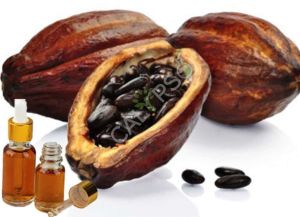 Fir Balsam Absolute Oil