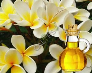 Frangipani Absolute Oil